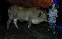 Quảng Ngãi sơ tán bệnh nhân tránh lũ khẩn cấp