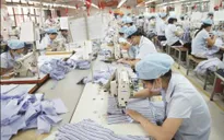 Người lao động tại công ty “con” sẽ được mua cổ phần ưu đãi công ty “mẹ”