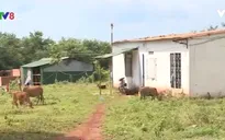 Lãng phí công trình Trung tâm thanh thiếu niên Đăk Lăk