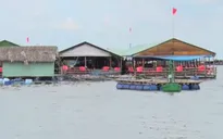 Vũng Tàu đình chỉ nhiều nhà hàng nổi kinh doanh không phép trên sông