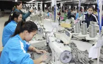 Nhiều DN dệt nhuộm tiếp tục đầu tư nhà máy nguyên liệu đón đầu TPP