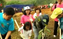 Việt Nam - Nhật Bản phối hợp trồng rừng tại VQG Ba Vì