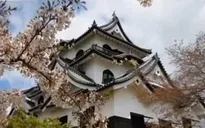 Nhật Bản sắp nới lỏng quy định visa cho du khách Việt Nam