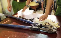 Tăng cường trấn áp tội phạm dịp đầu năm