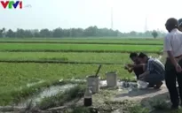 Người tiêu dùng TP.HCM "quay lưng" sau thông tin rau tưới nhớt