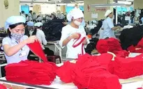 Mỗi năm, ngành thuế thanh, kiểm tra doanh nghiệp một lần
