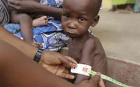LHQ tạm ngừng viện trợ nhân đạo tại Đông Bắc Nigeria do vấn đề an ninh