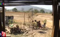Nắng hạn kéo dài, cuộc sống của người dân Ninh Thuận khốn khó