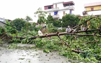 Bão số 1 khiến EVN thiệt hại gần 400 tỷ đồng