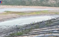 Ninh Thuận thiếu nước trầm trọng