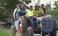 Australia hoãn tăng thuế đánh vào lao động nhập cư