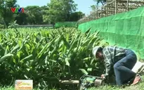 Myanmar ứng dụng công nghệ in 3D vào nông nghiệp