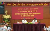 Chỉ 3% sản lượng nông sản được sản xuất theo chuỗi