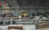 Tạm đình chỉ công ty xảy ra vụ nổ làm 11 người bị thương