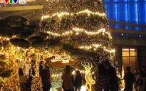 Không khí Giáng sinh tại Hà Nội