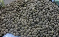 Quý 1/2016: Xuất khẩu nông lâm thủy sản tăng 3,1%