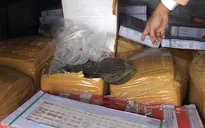 Bắt xe tải chở hơn 1,5 tấn nội tạng động vật không rõ nguồn gốc