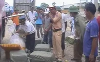 Bắt xe khách chở nội tạng động vật