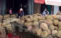 Nhiều loại trái cây mùa Hè giảm giá mạnh