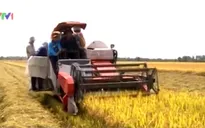 "Sản xuất nông nghiệp phải thay đổi do biến đổi khí hậu"