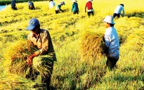 Nông nghiệp tăng trưởng dương trở lại