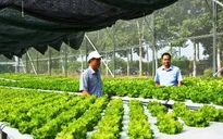 Nông nghiệp công nghệ cao thiếu nguồn nhân lực chất lượng