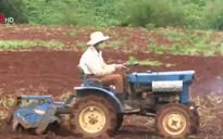 Lâm Đồng: Khó khăn về cơ giới hóa nông nghiệp