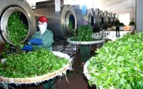 Nông sản Việt xuất khẩu nhiều nhưng vẫn "vô danh"