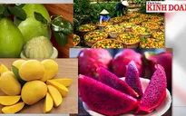 Nông sản Việt mải mê số lượng, “quên” làm thương hiệu?