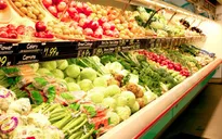 Xuất khẩu nông sản có nhiều tín hiệu vui