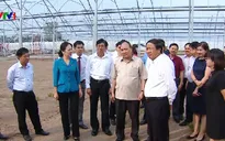 Hải Phòng cần mở rộng nông nghiệp kỹ thuật cao