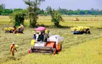 Cần đưa ngành nông nghiệp tăng trưởng trở lại