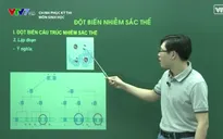 Chinh phục kỳ thi môn Sinh: Đột biến nhiễm sắc thể