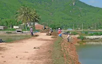 Bình Định: 28 xã nông thôn mới nợ gần 55 tỉ đồng