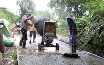 Không hạ thấp tiêu chí nông thôn mới