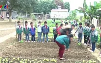 Lào Cai: Xuất hiện mô hình trường học nông trại