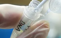 Đã xác định được bố cháu bé trong vụ nữ tử tù mang thai