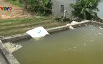 Nghệ An: Nhà máy nước sạch cung cấp nước đổi màu, mùi hôi