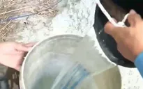 Bình Định: Khô hạn kéo dài, người dân phải sử dụng nước tưới ruộng để sinh hoạt
