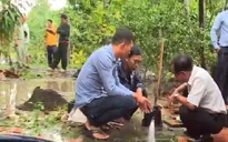 TP.HCM gặp khó trong cấp nước sạch cho người dân