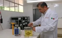 Thiết bị biến nước tiểu thành khí biogas