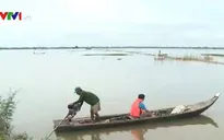 Người dân miền Tây vui mừng đón lũ