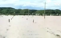 Học sinh lớp 5 quên mình cứu bạn trong dòng lũ cuốn