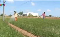 Nông dân ĐBSCL lo cạn kiệt nguồn nước ngầm tầng nông