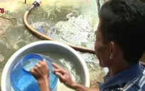 Quảng Nam: Buộc 12 cơ sở nước uống đóng chai tạm dừng sản xuất