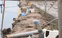 Lấy nước ngầm nuôi tôm thẻ ở Đồng Tháp - Lợi bất cập hại