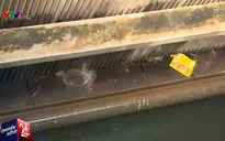 Ô nhiễm sông Sài Gòn, nhà máy nước khốn đốn