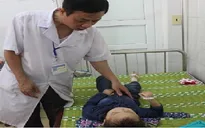 Nghệ An: Ong đốt làm 18 cô trò phải nhập viện