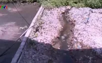 TT-Huế: Ô nhiễm nghiêm trọng tại các cụm công nghiệp làng nghề