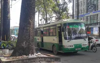 Cấm hành nghề tài xế xe bus tấn công người đi đường